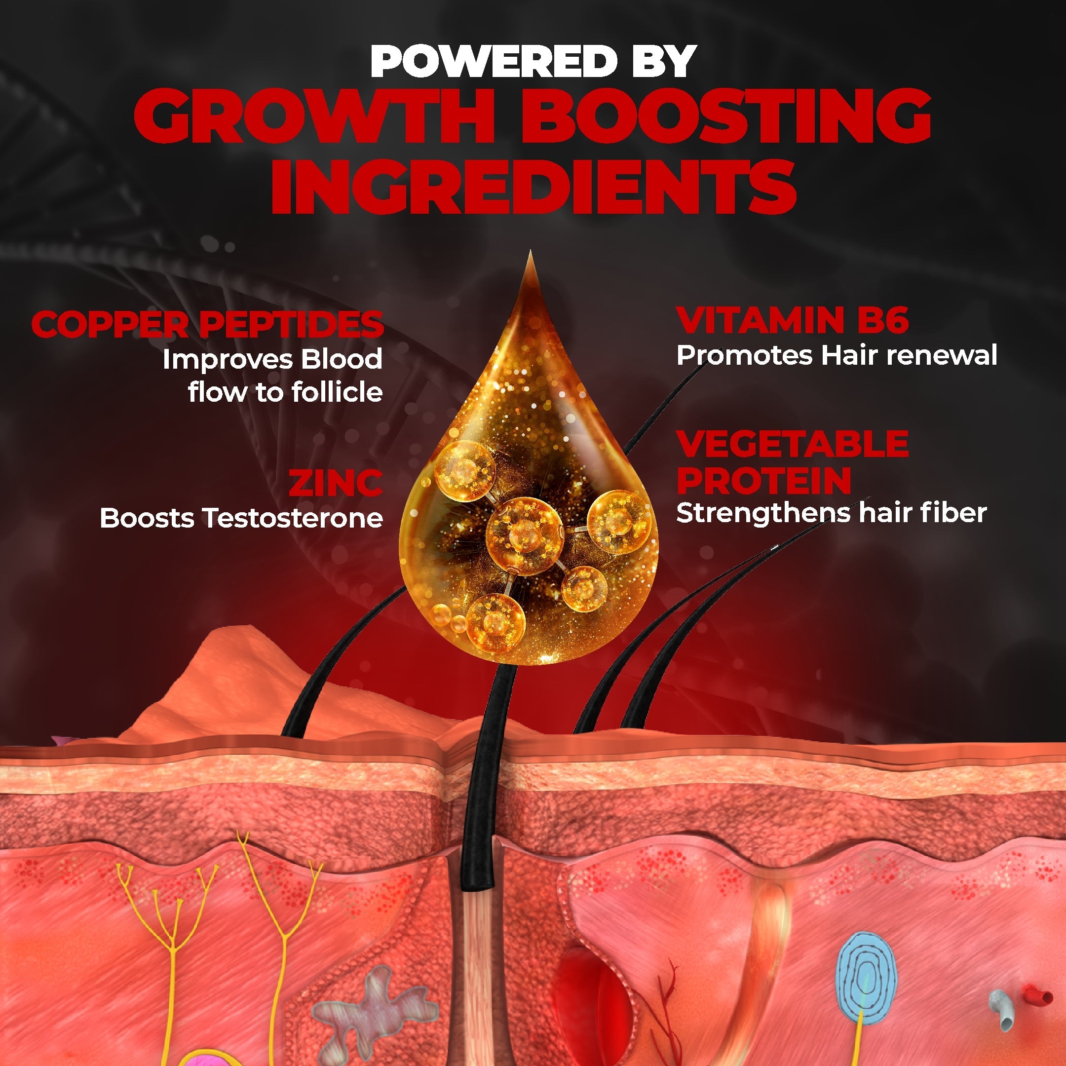 Beardo Beard Growth Duo Kit