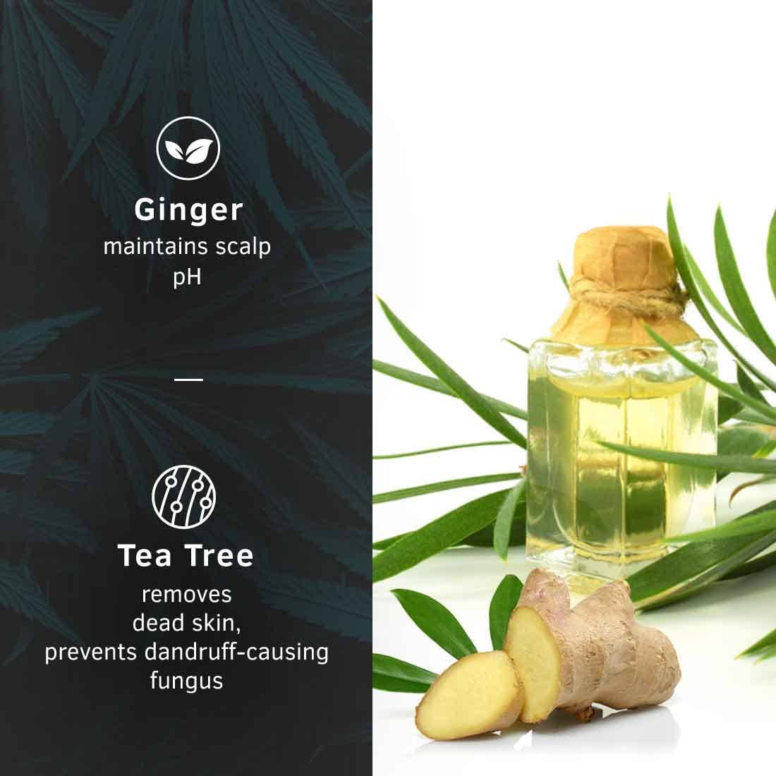 Ustraa Anti-Dandruff Hair Serum 200ml with Tea Tree & Ginger