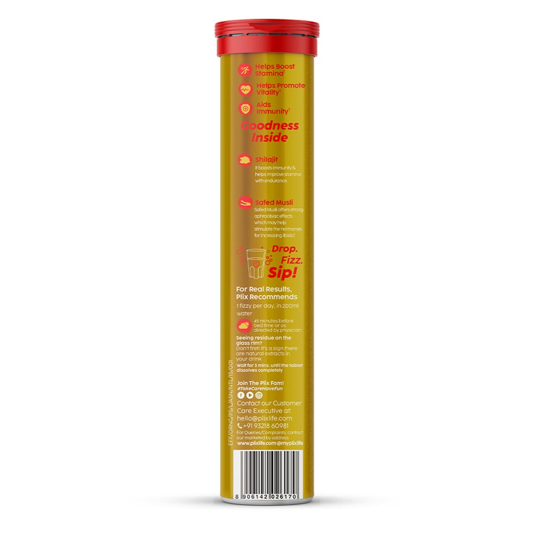 The Plant Fix Shilajit 500mg