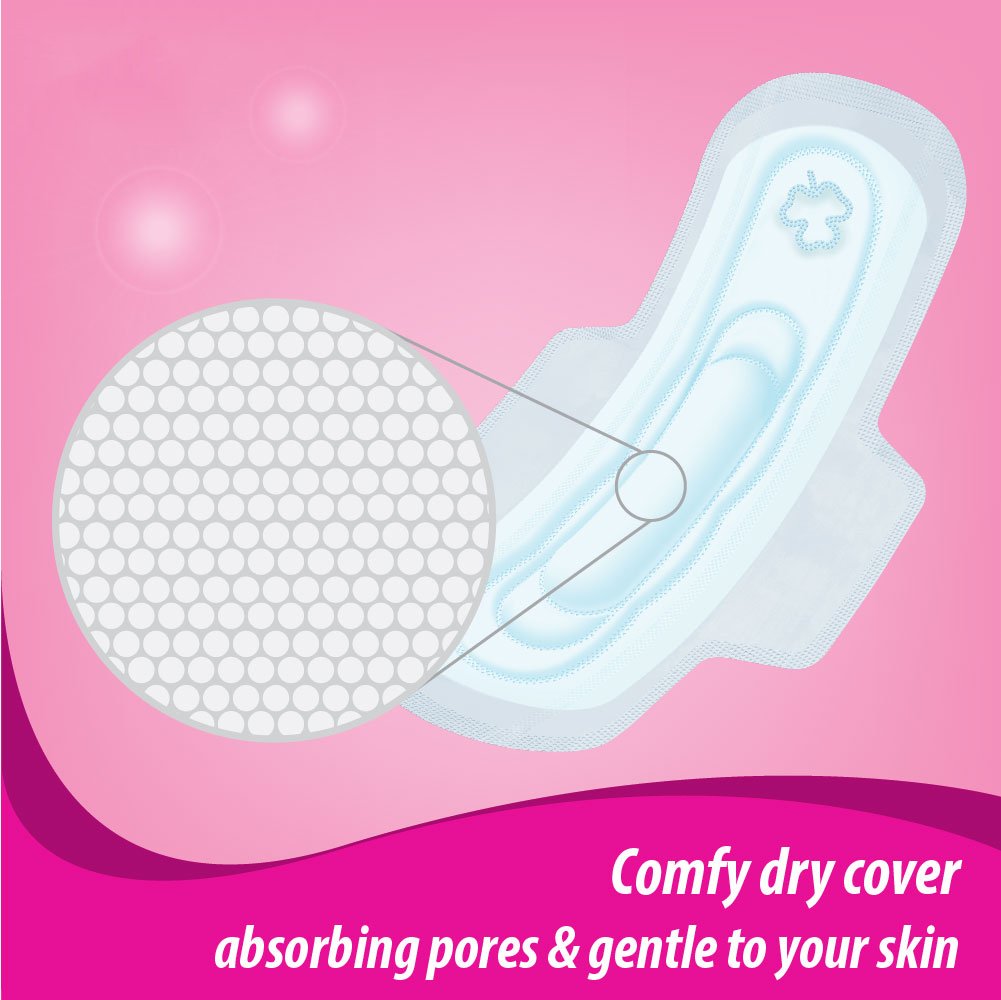 Sofy Bodyfit Sanitary Napkins