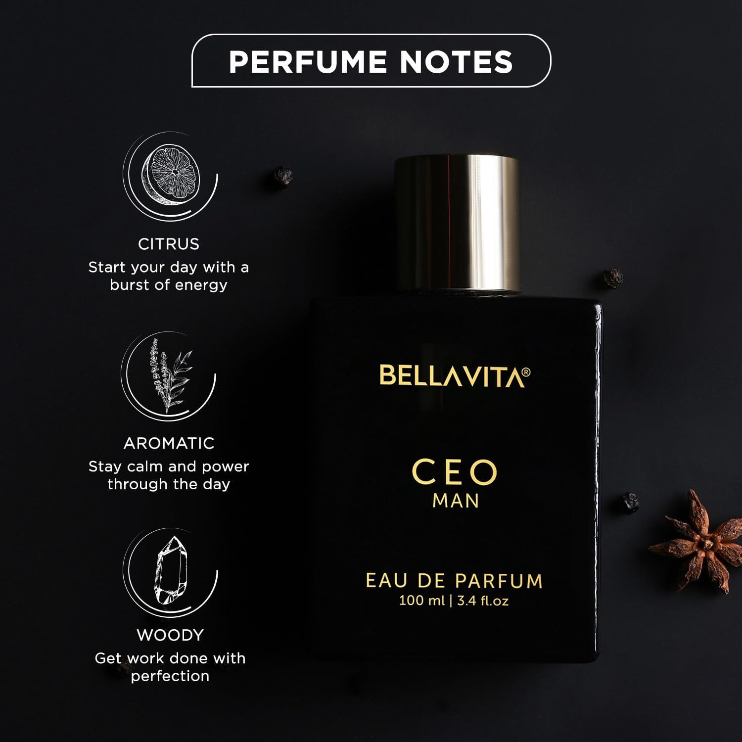 Bella Vita Luxury CEO MAN Long Lasting Perfume for Men EDP 100ml Woody Citrus Fragrance