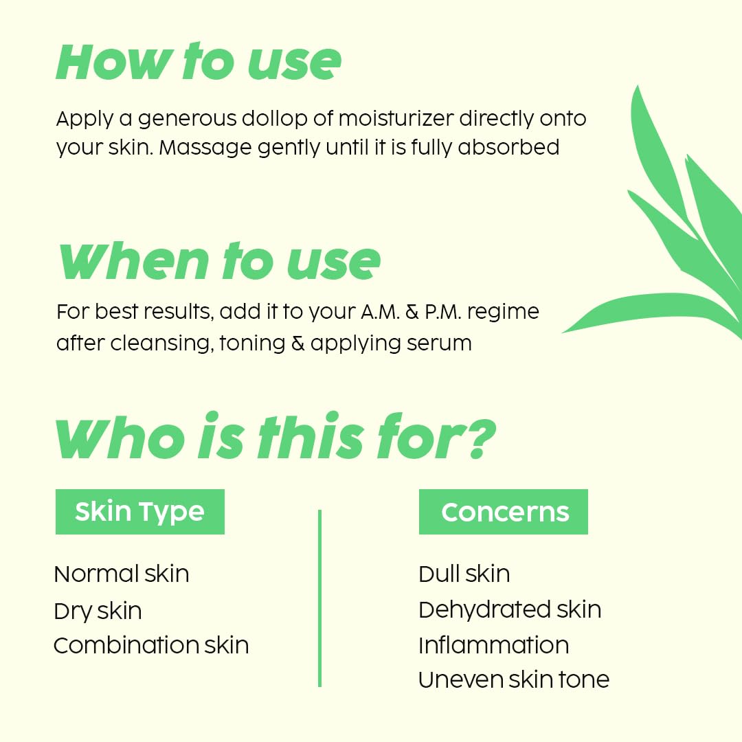 The Plant Fix Plix Guava Glow Smoothie Moisturizer