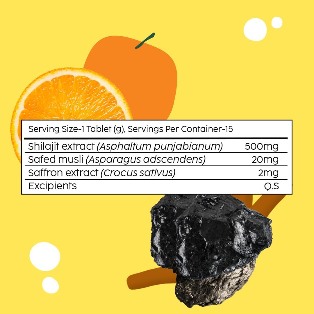 The Plant Fix Shilajit 500mg