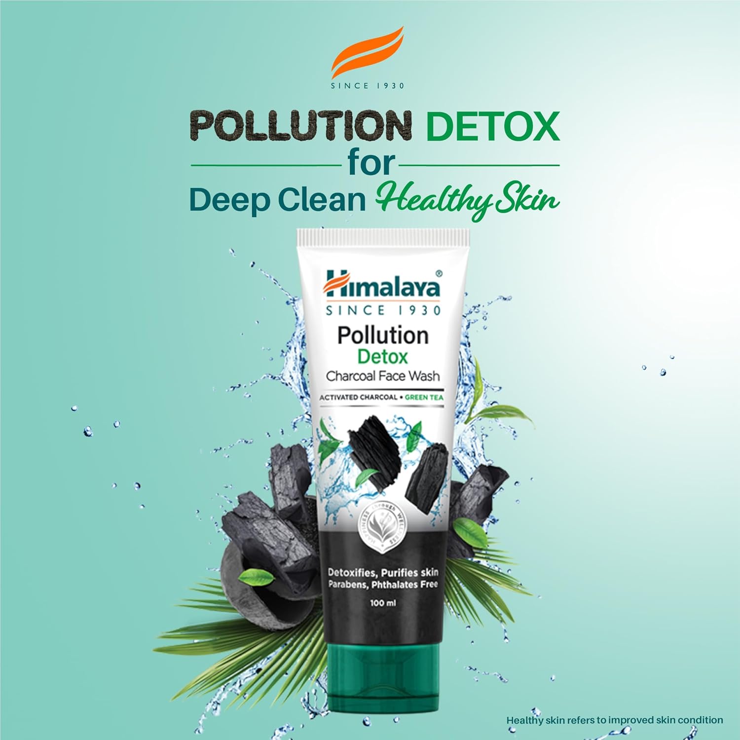 Himalaya Pollution Detox Charcoal Face Wash 100ml Green Tea