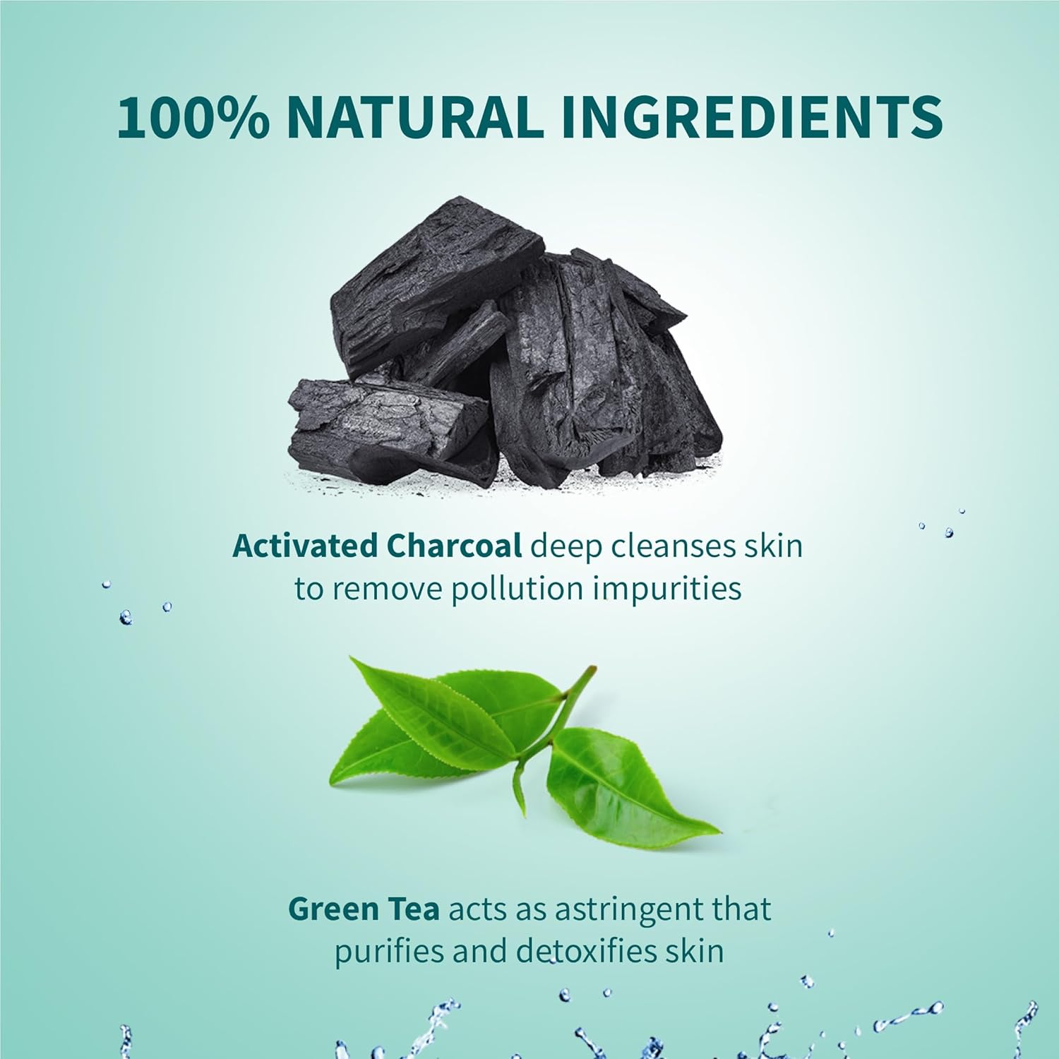 Himalaya Pollution Detox Charcoal Face Wash 100ml Green Tea