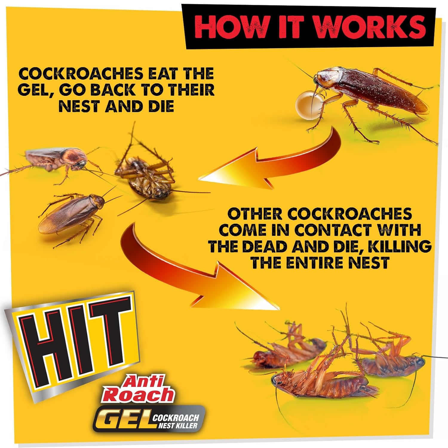 Hit Anti Roach Gel