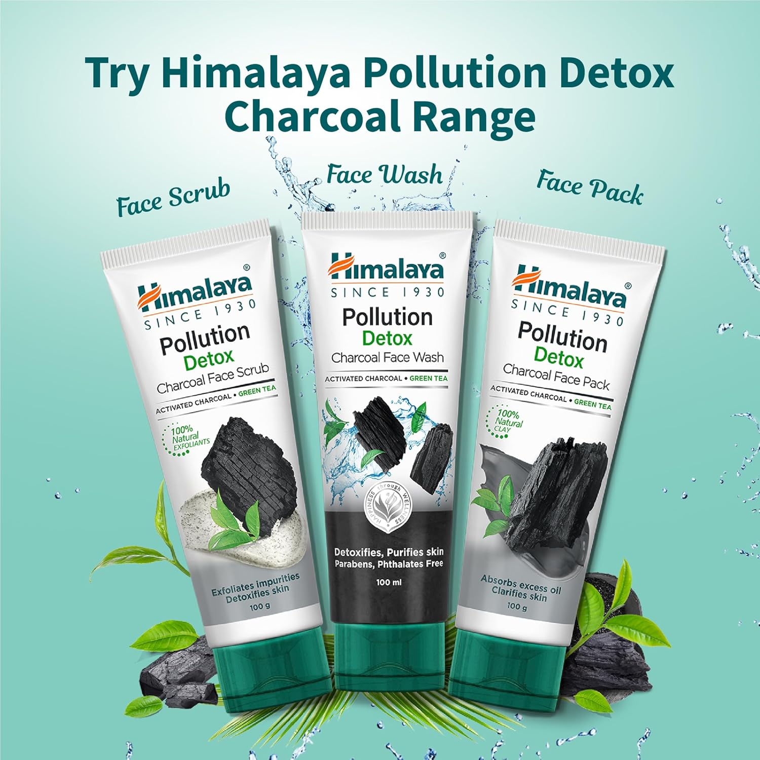Himalaya Pollution Detox Charcoal Face Wash 100ml Green Tea