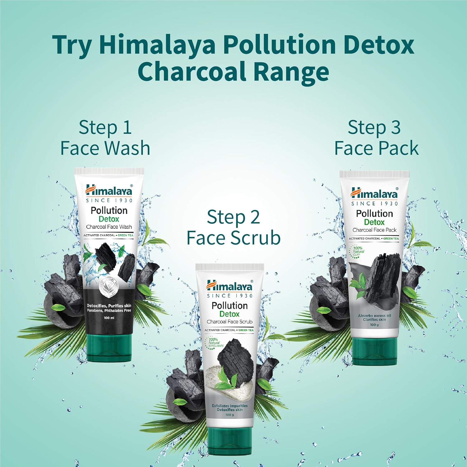 Himalaya Pollution Detox Charcoal Face Wash 100ml Green Tea