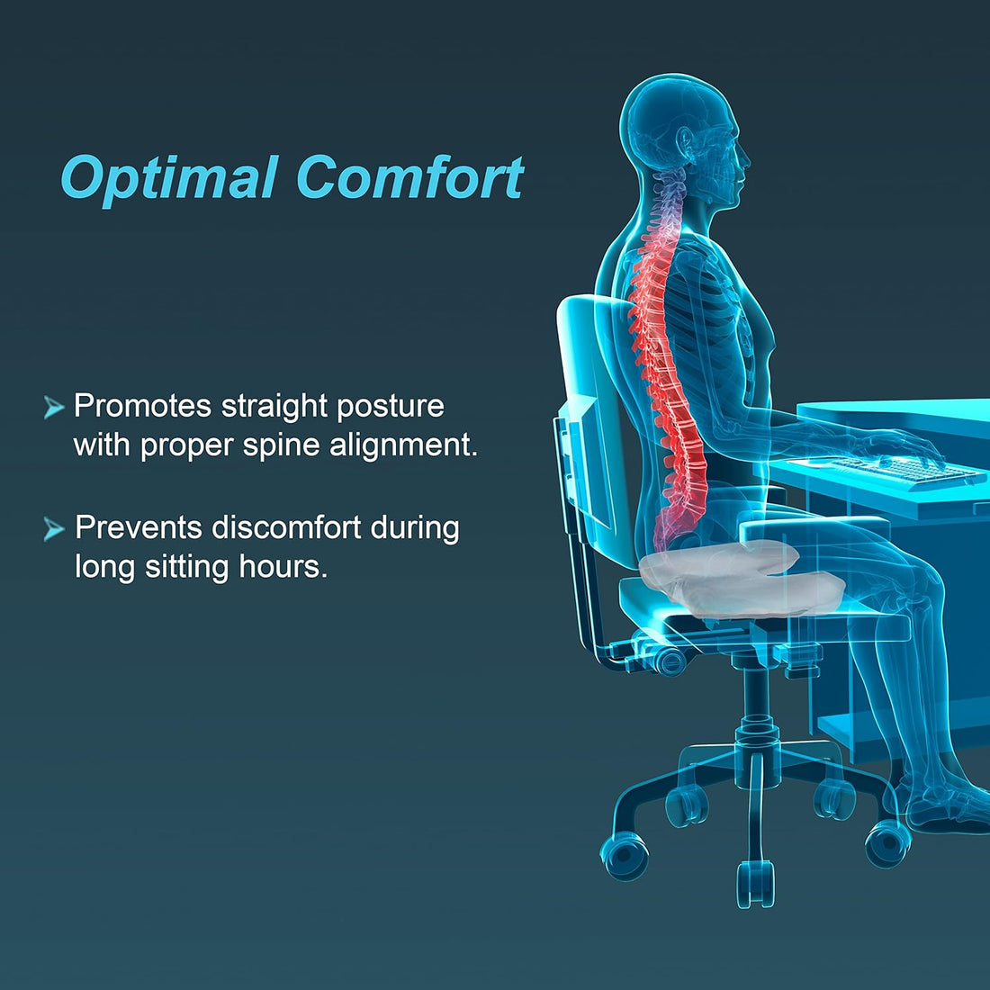 Tynor Orthopaedic Seat Cushion - Coccyx Support for Tailbone Pain Relief