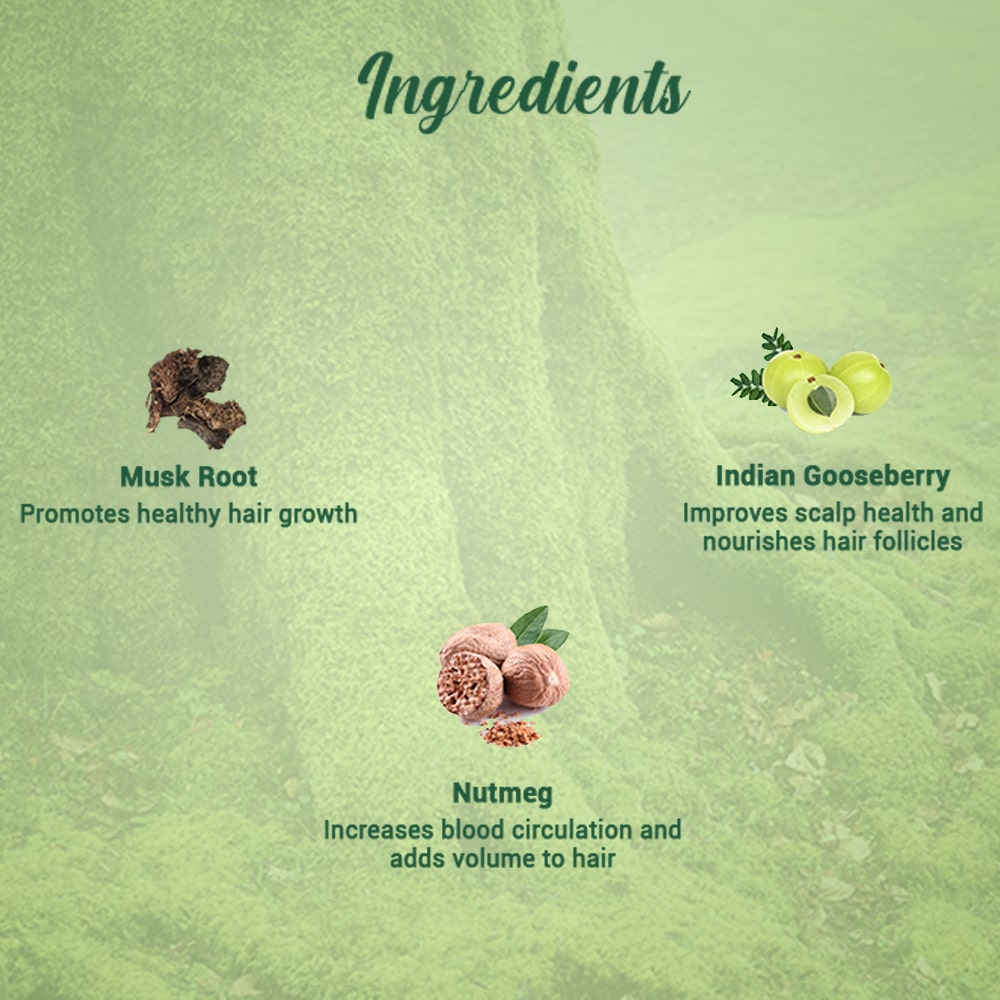 Biotique Musk Root Hair Pack
