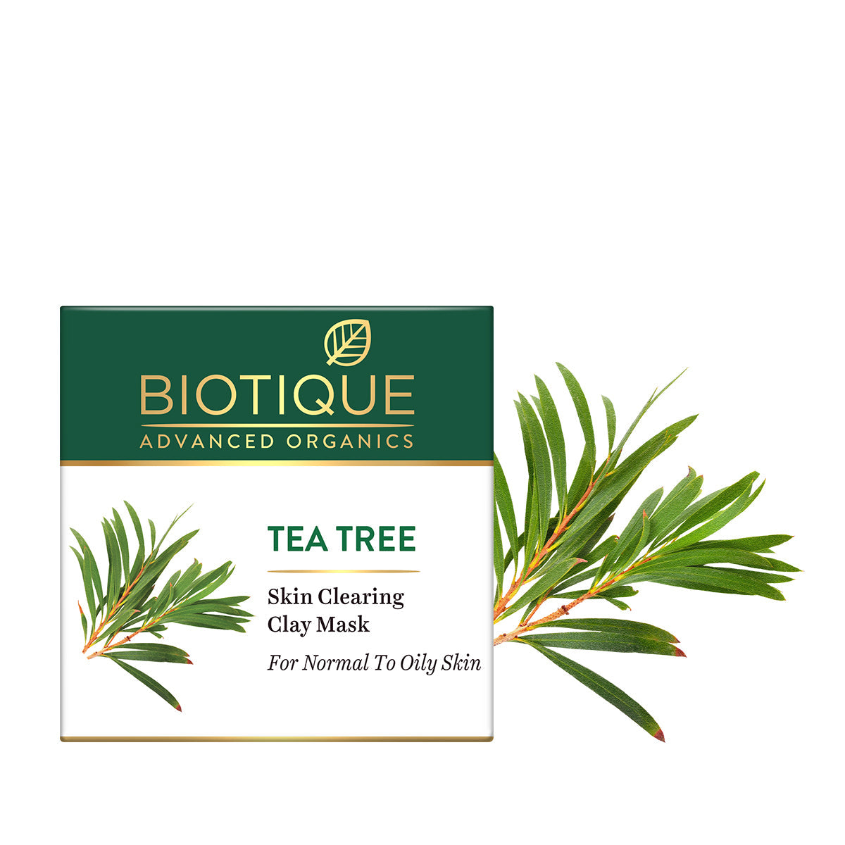 Biotique Tea Tree Skin Scrub
