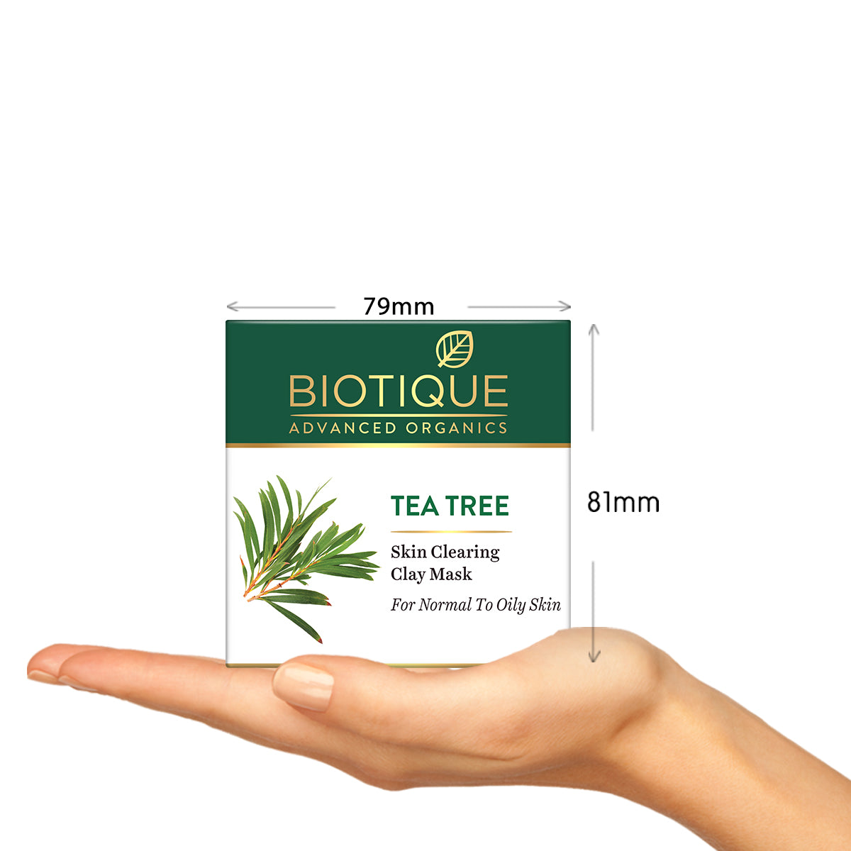 Biotique Tea Tree Skin Scrub